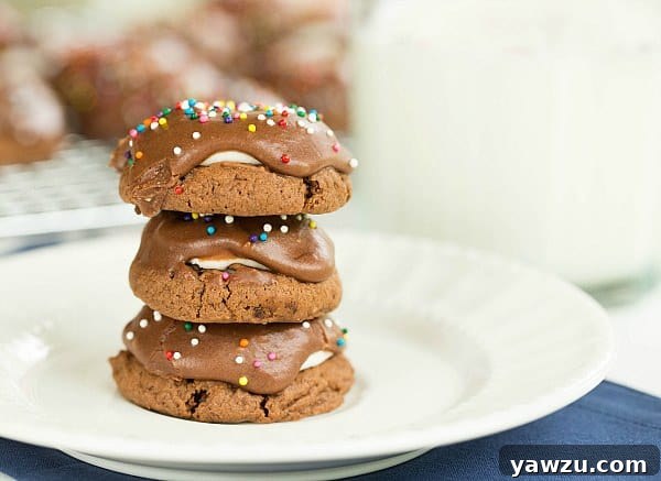 Close-up of a frosted Chocolate Marshmallow Cookie with Sprinkles