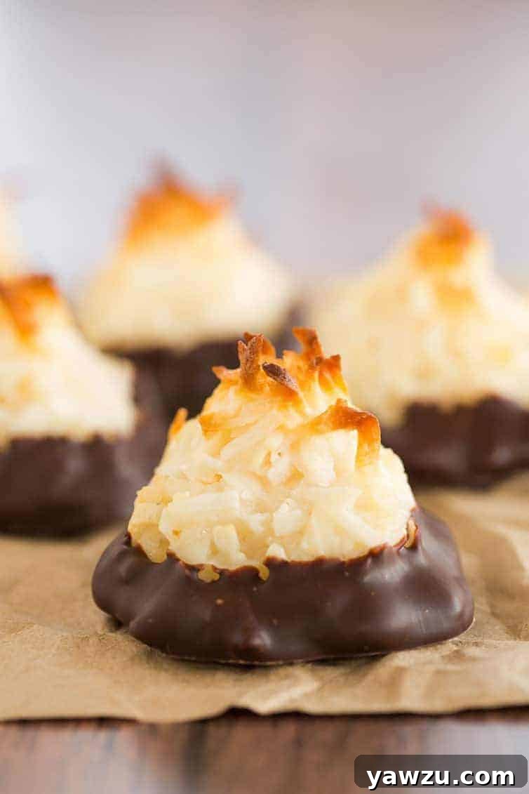 Classic Chocolate-Dipped Coconut Macaroons – A delightful, easy-to-make cookie recipe perfect for parties and holidays.