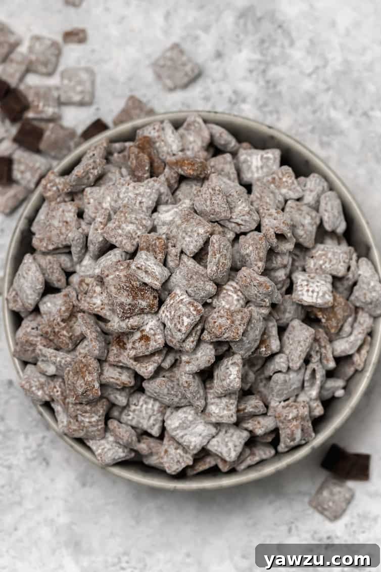 An inviting overhead shot of a generous bowl of classic Muddy Buddies, showcasing the fluffy powdered sugar coating and appealing clusters.