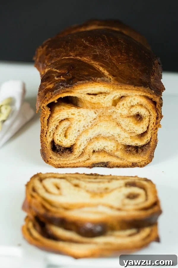 Cinnamon Babka by @browneyedbaker :: www.browneyedbaker.com