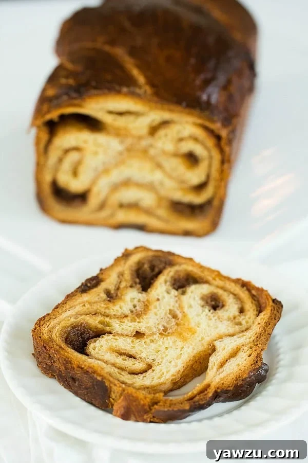 Cinnamon Babka by @browneyedbaker :: www.browneyedbaker.com