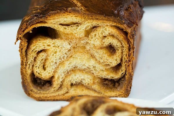 Cinnamon Babka by @browneyedbaker :: www.browneyedbaker.com