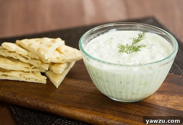 Close-up of creamy Tzatziki Sauce with fresh dill