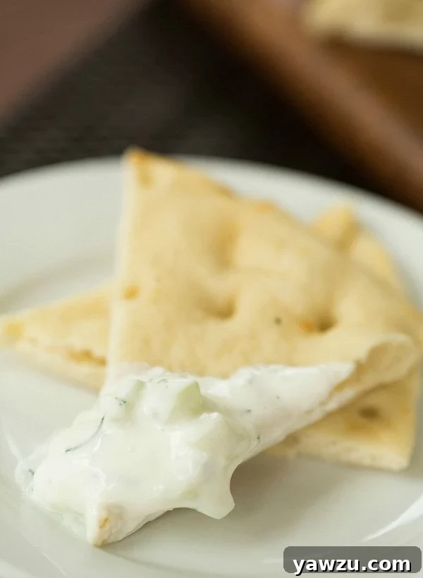 Tzatziki Sauce served with fresh pita and vegetables