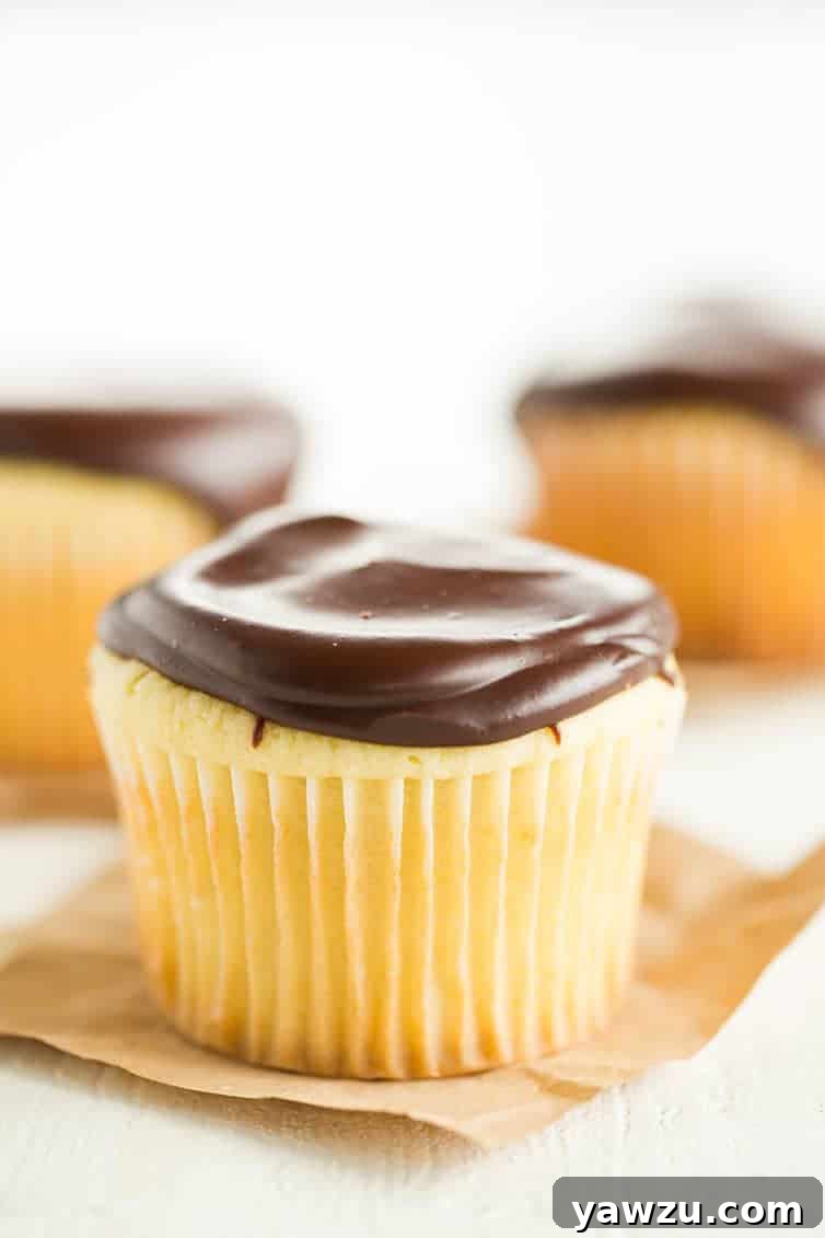 Irresistible Boston Cream Cupcakes, showcasing the layers of vanilla cake, creamy filling, and glossy chocolate ganache.