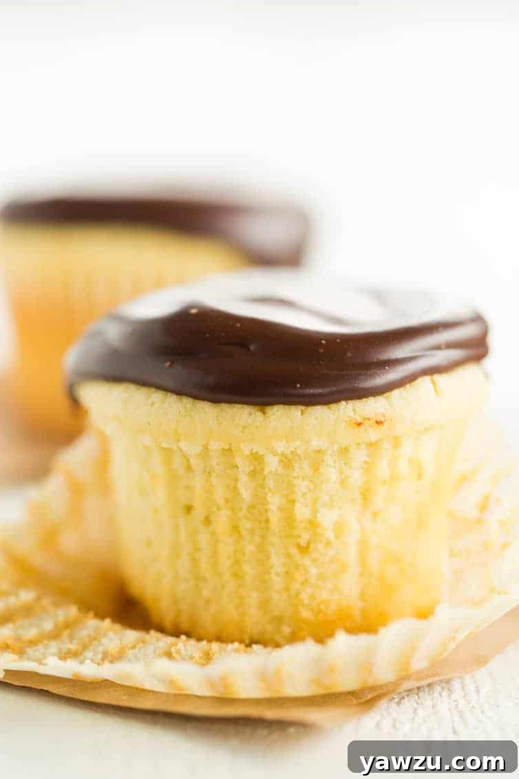 An array of Boston Cream Cupcakes, artfully arranged and ready to be served, highlighting their enticing appearance.