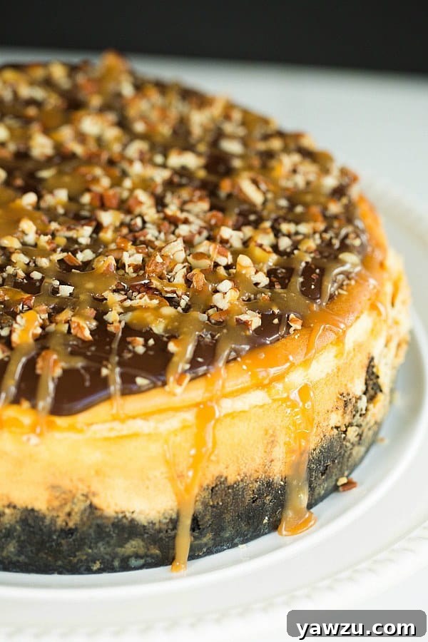 Lush Turtle Cheesecake, a perfect dessert for special occasions