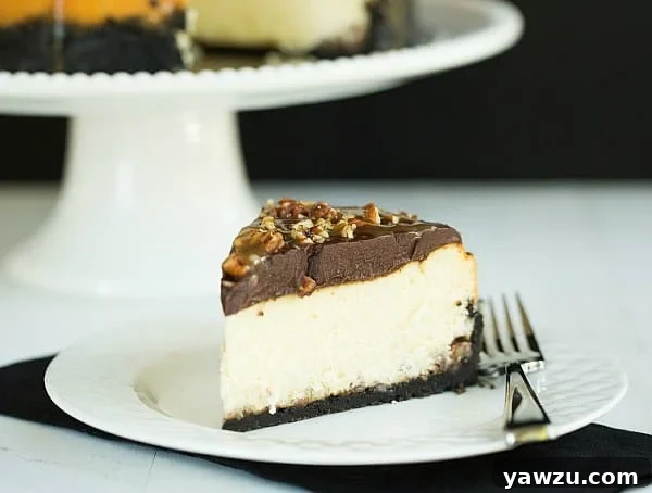 Close-up of Turtle Cheesecake with caramel and pecans