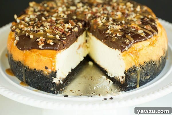 Slice of Turtle Cheesecake showing layers