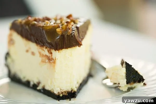 Overhead view of Turtle Cheesecake