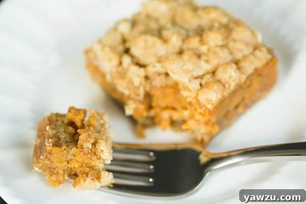 Overhead shot of freshly baked Pumpkin Pie Oatmeal Crumb Bars on a cooling rack