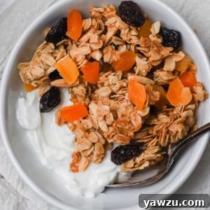 Finished homemade granola in a bowl, ready to serve.
