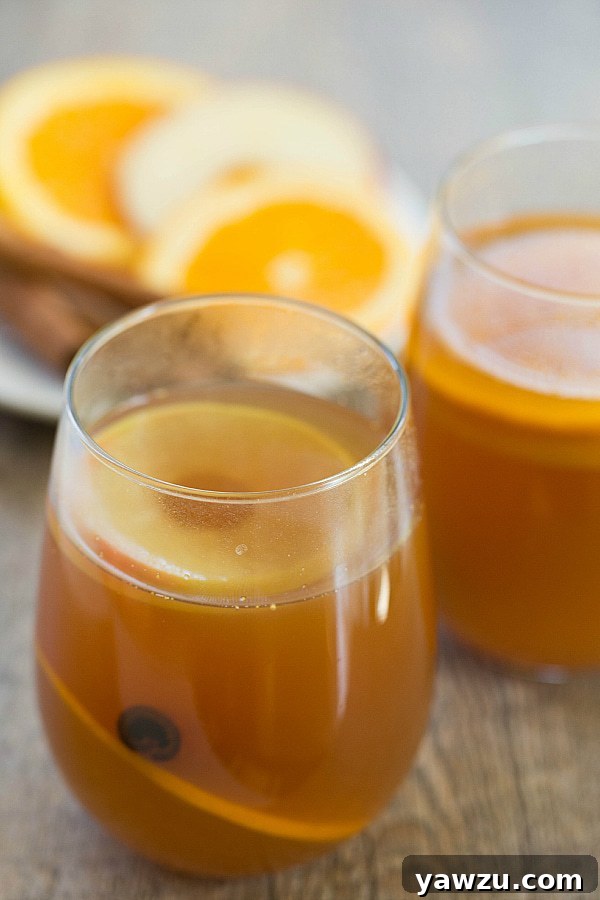Cozy Hot Apple Cider Rum Punch for Fall Gatherings