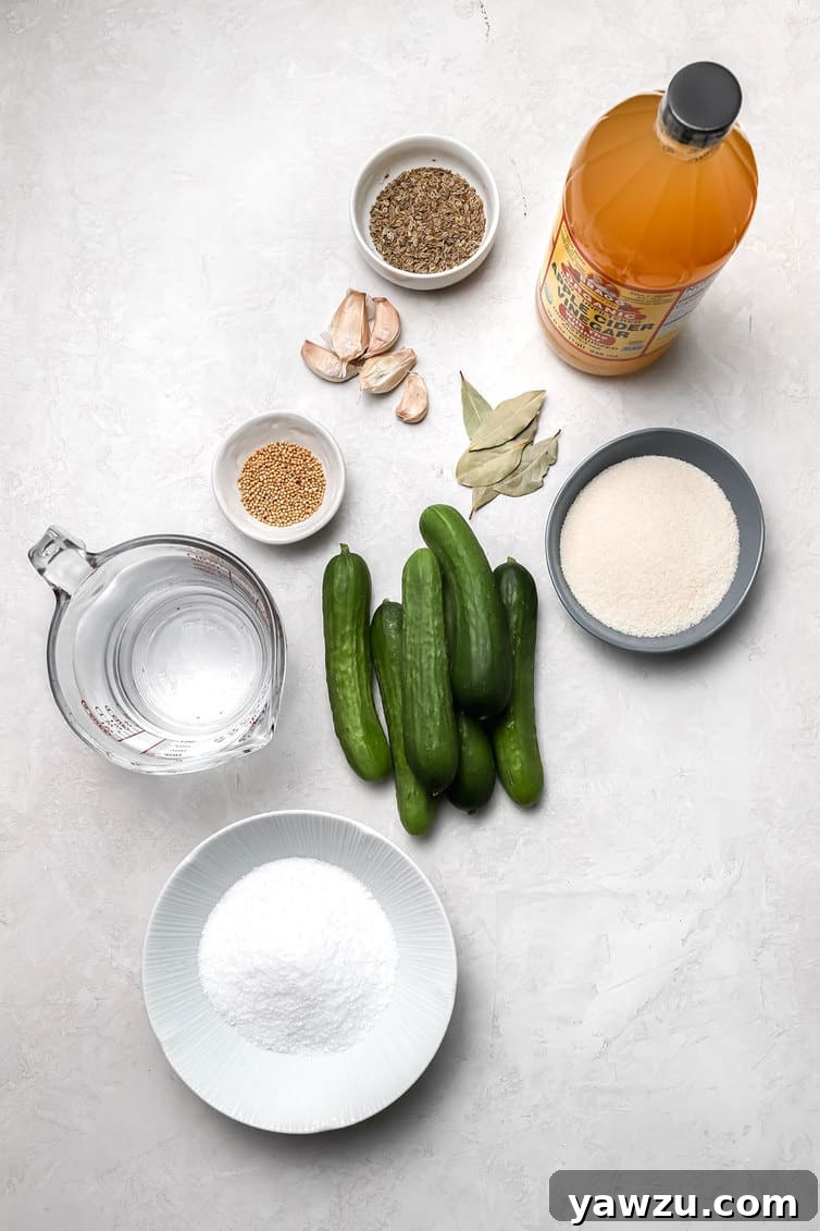 Ingredients for making dill pickles prepped on counter.