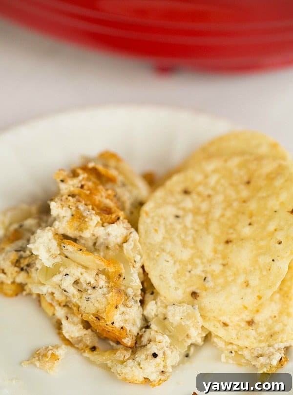 Sweet Onion and Parmesan Dip by @browneyedbaker :: www.browneyedbaker.com