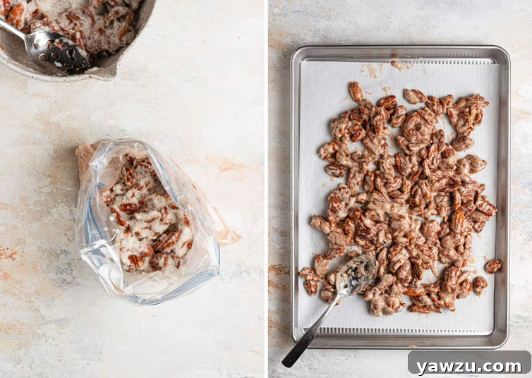 Candied pecans in a bag on the left and candied pecans on a baking sheet on the right.