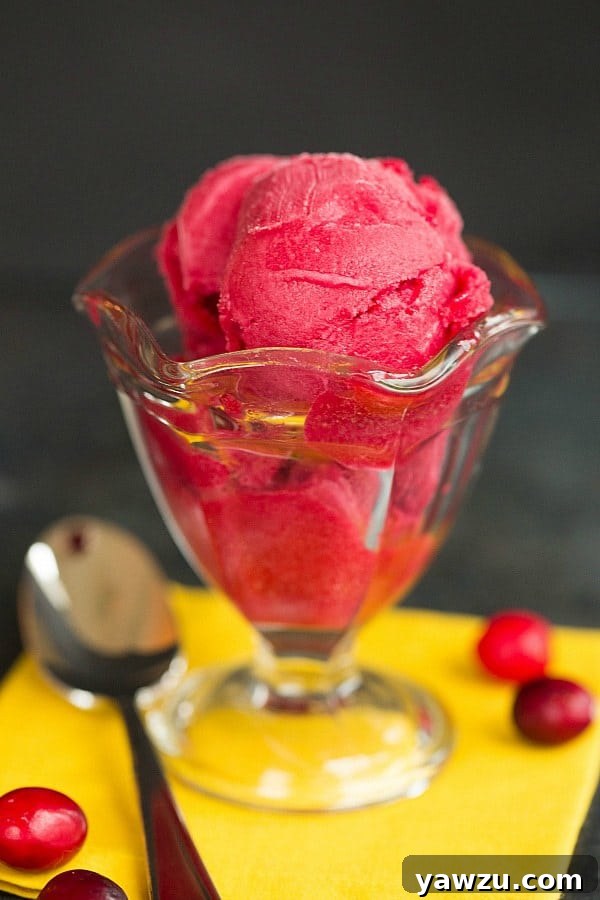 Light and Refreshing Cranberry Sorbet Recipe - Perfect for Holidays