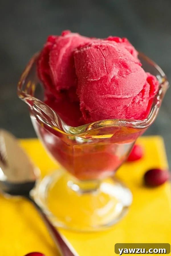 Homemade Cranberry Sorbet with Orange Zest