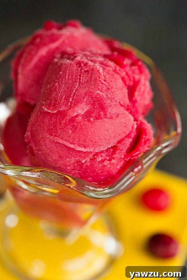 Close-up of Homemade Cranberry Sorbet