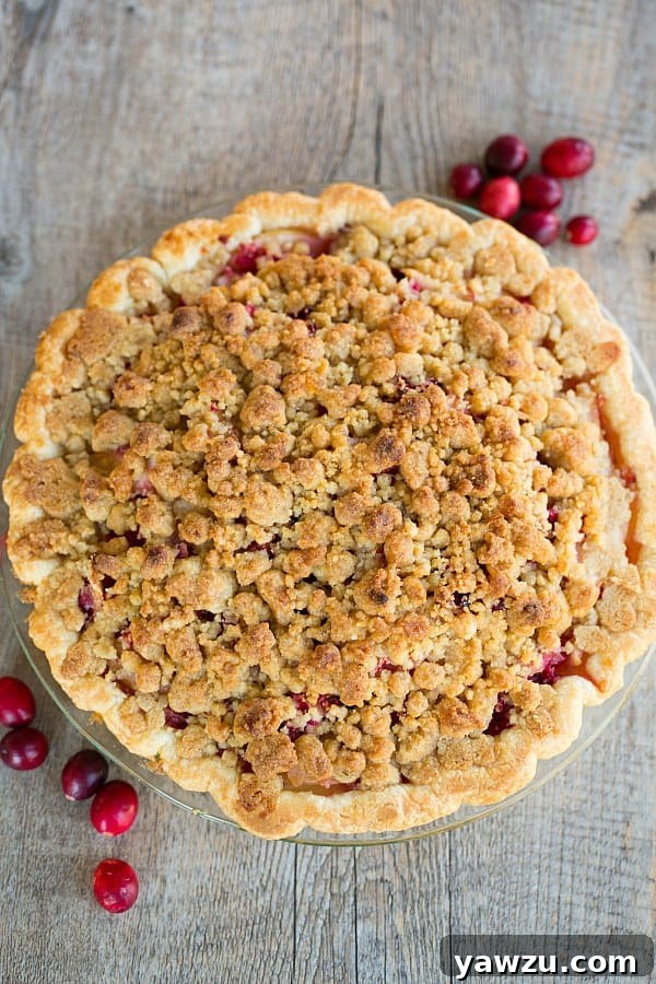 Close-up of a slice of Cranberry-Ginger Pear Pie revealing the ruby red cranberries and tender pear slices within a flaky crust.