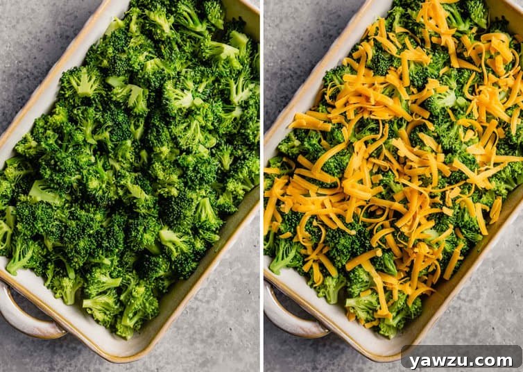 Side by side images of broccoli casserole in preparation. The left image shows blanched broccoli in a casserole dish, while the right image displays shredded cheese generously sprinkled over the broccoli.