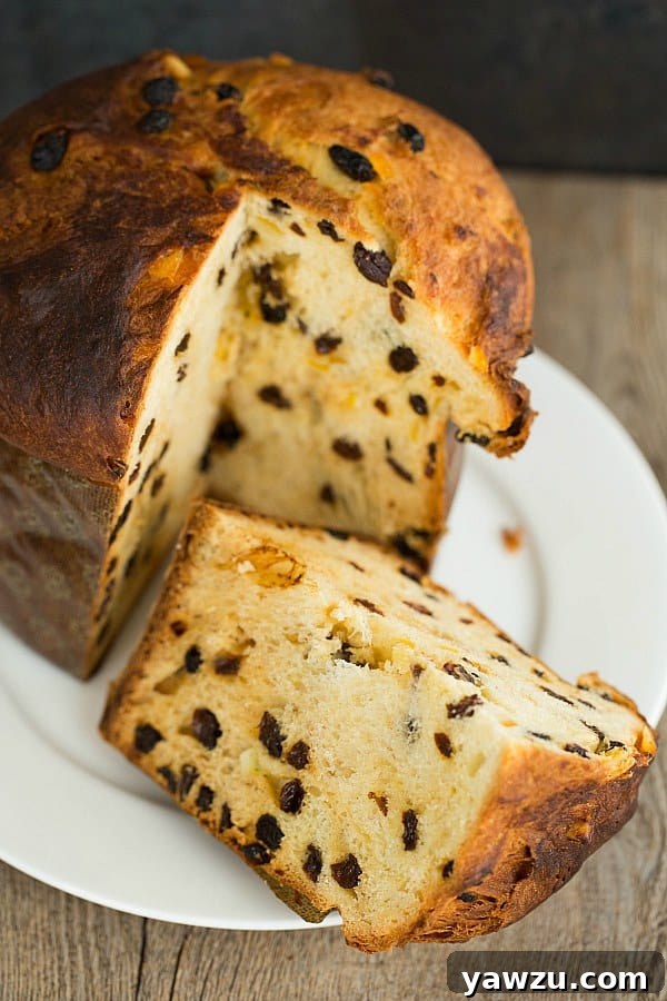 Beautifully baked Panettone, a traditional Italian Christmas bread, cooling after baking. The golden crust and distinct cylindrical shape are visible, highlighting its festive appeal.