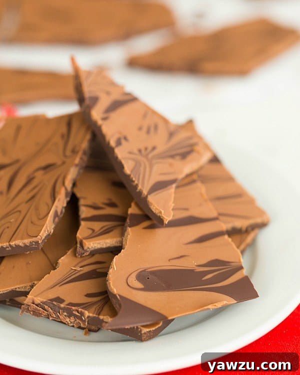Rich semisweet chocolate bark with a creamy peanut butter swirl, perfect for holiday gifting or indulging.