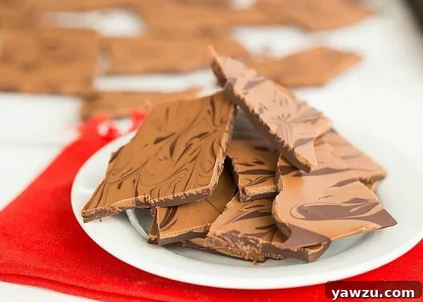 A serving of Peanut Butter Swirl Chocolate Bark broken into irregular pieces, ready to enjoy.