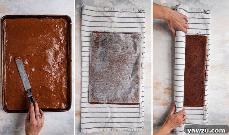 Baking chocolate sponge cake and rolling up in kitchen towel.