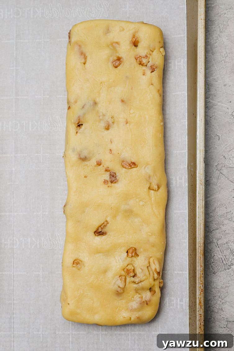 A perfectly shaped log of biscotti dough resting on a parchment-lined baking sheet, awaiting its first bake.