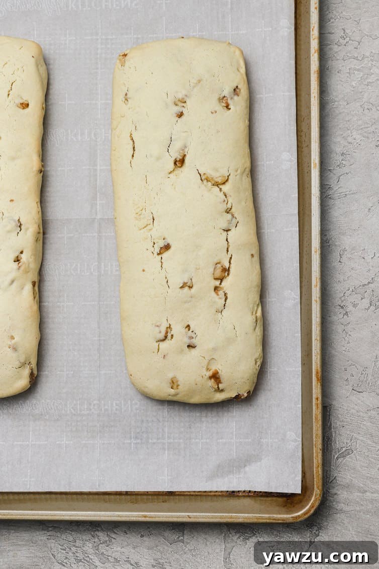 Several golden-brown biscotti logs, freshly baked and firm, cooling on a parchment-lined baking sheet.