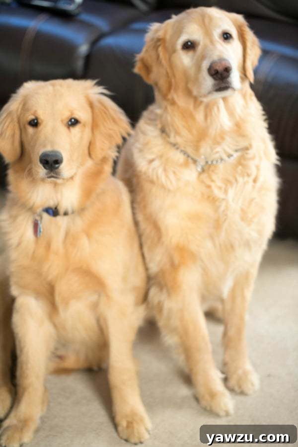 Einstein & Duke on Einstein's 7th Birthday