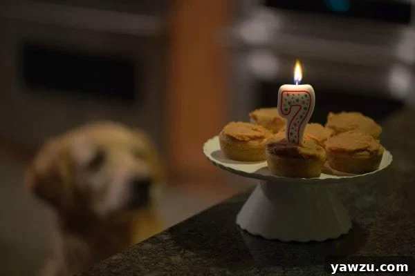 Einstein with a birthday candle