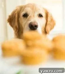 Doggie Pupcakes with Peanut Butter-Yogurt Frosting