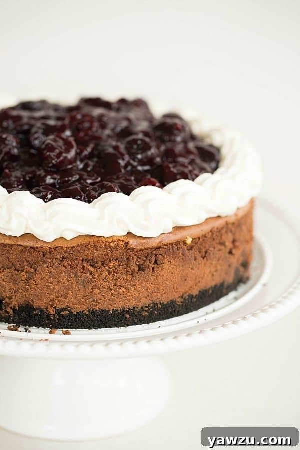 Rich Black Forest Cheesecake with dark chocolate and fresh cherries, featuring an Oreo crust