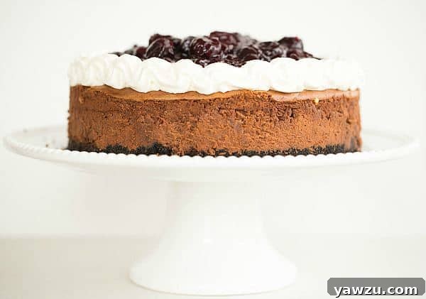 Slice of Black Forest Cheesecake showcasing chocolate layers and cherry topping
