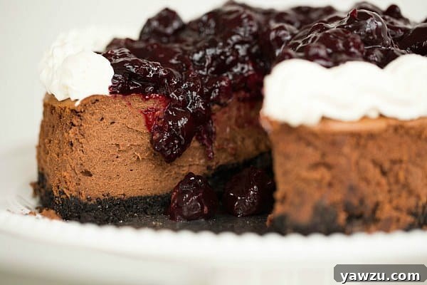 Luxurious Black Forest Cheesecake ready for serving