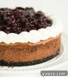 Black Forest Cheesecake hero shot