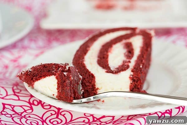 Overhead shot of the Red Velvet Roll Cake, perfect for sharing.