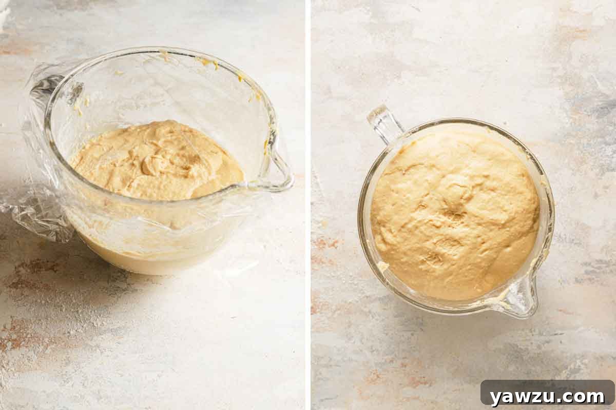 Before and after photos of paczki dough doubling in size after rise.