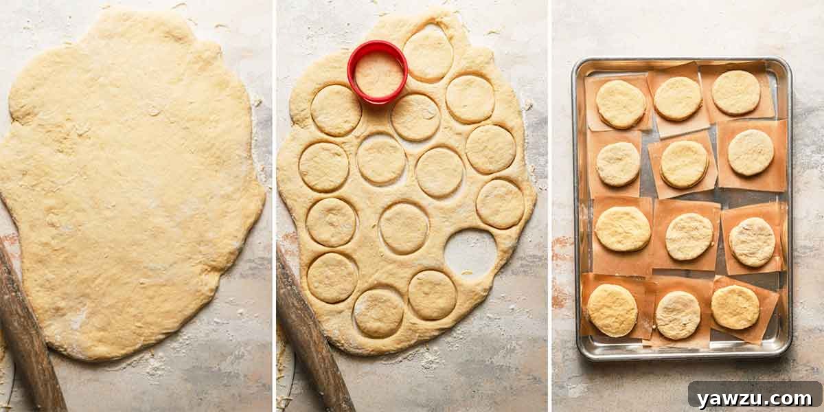 Paczki dough rolled out and cut into rounds with a biscuit cutter, then placed on a parchment-lined baking sheet.