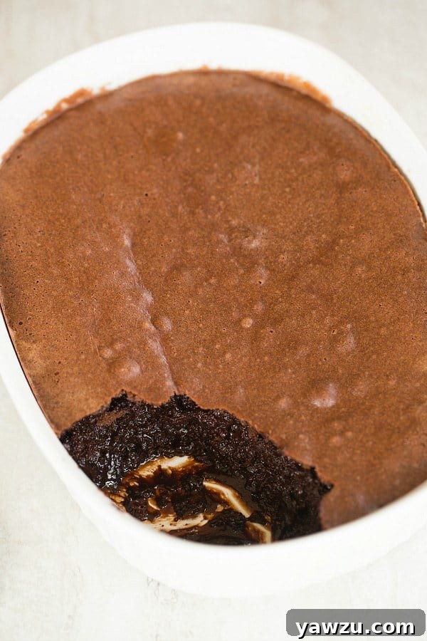 Homemade Brownie Pudding: An Easy and Delicious Dessert