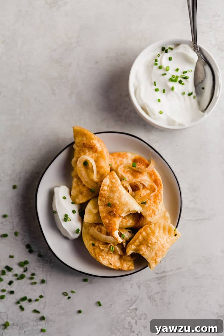 An overhead shot of a plate of golden-brown pierogi served with a generous dollop of sour cream.