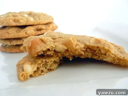 A delectable white chocolate macadamia nut cookie, perfectly broken in half to reveal its soft, chewy interior filled with chunks of nuts and white chocolate, resting on a white plate.