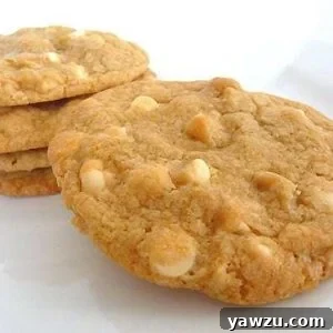 Five white chocolate macadamia nut cookies on a white plate, showcasing their perfect texture and golden hue.