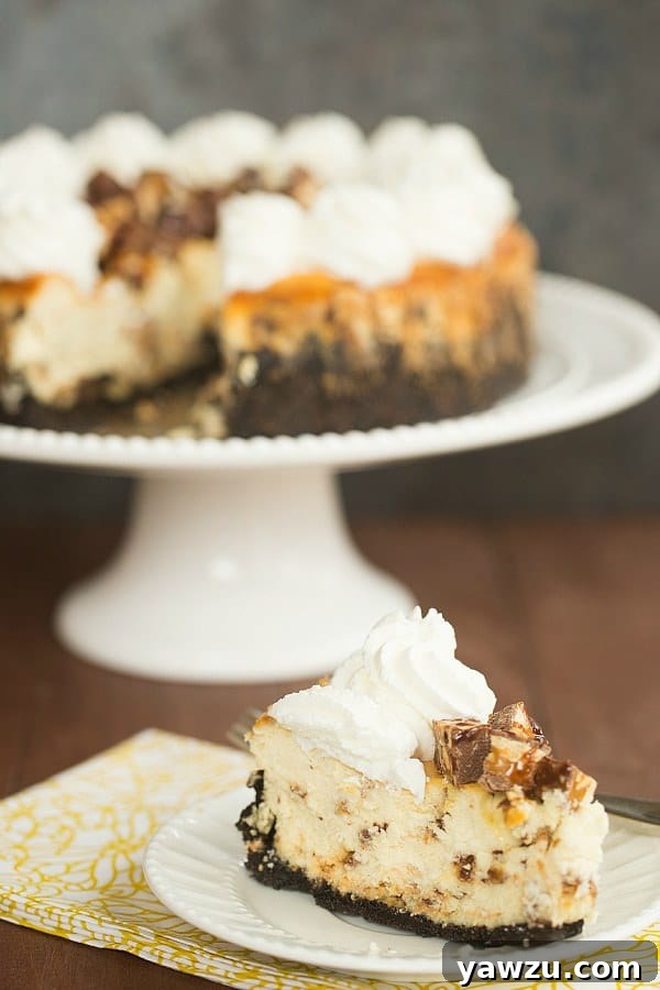 A whole Snickers Cheesecake on a wire rack, freshly baked and ready to cool.