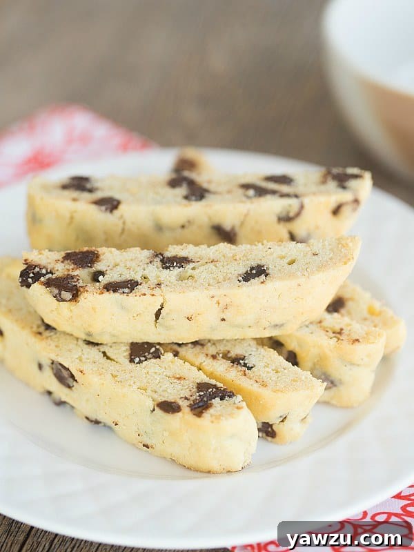 Delicious Homemade Chocolate Chip Biscotti, perfect for coffee breaks.