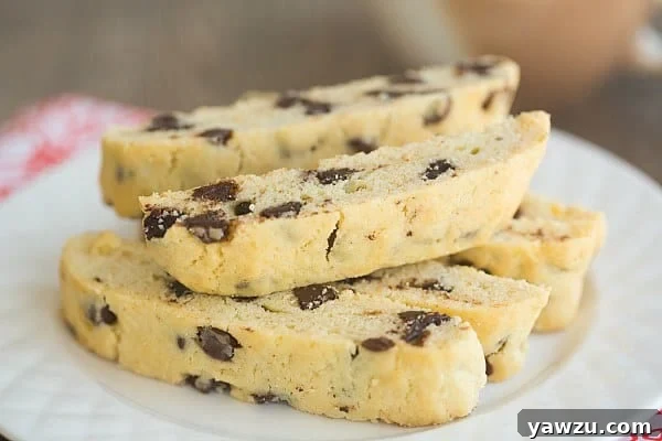 Close-up of freshly baked Chocolate Chip Biscotti, showcasing rich chocolate chips.