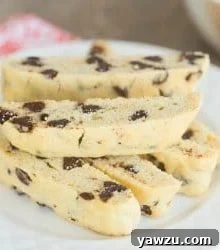 A smaller image of Chocolate Chip Biscotti