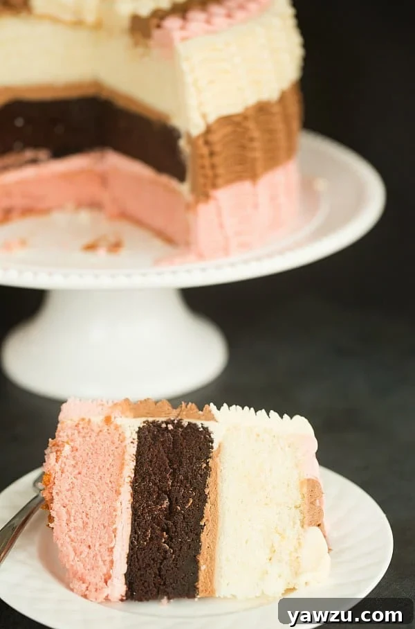 Rich Chocolate Layer of Neapolitan Cake with Smooth Frosting
